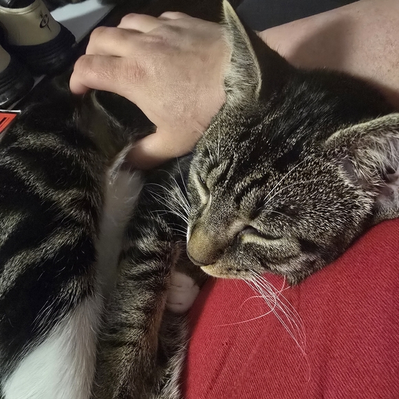 Meet your Posher - Picture 2 of 7